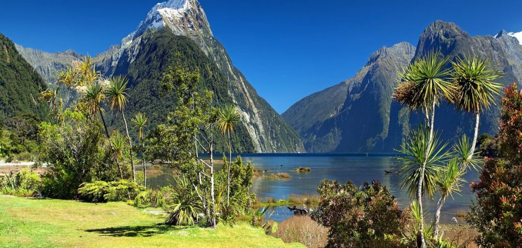 Book Cheap Flights to and from New Zealand