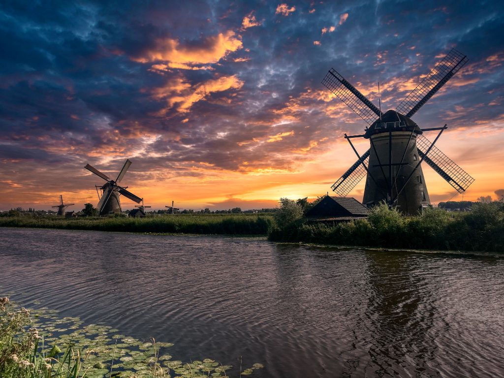 Book Cheap Flights to and from The Netherlands